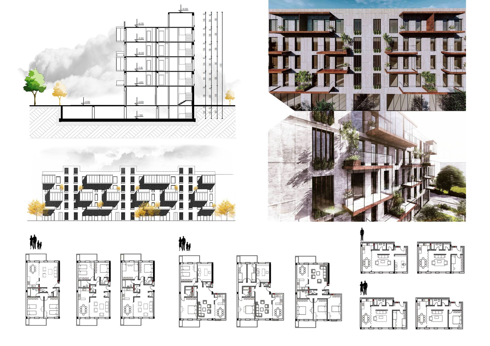 Section, elevation and apartment variations